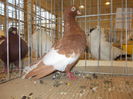 DSCN0044