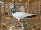 DSCN0046