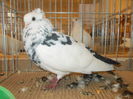 DSCN0047