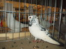 DSCN0050