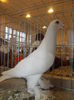 DSCN0055
