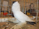 DSCN0065