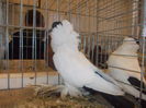 DSCN0066
