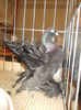 DSCN0086