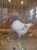 DSCN0133