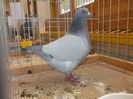 DSCN0135