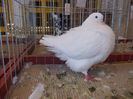 DSCN0167