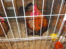 DSCN0189
