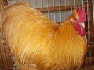 DSCN0198