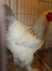 DSCN0207