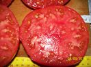 BRANDYWINE RED PARK SEEDS (15)