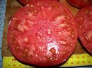 BRANDYWINE RED PARK SEEDS (16)