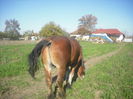 CIMG7867