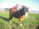 CIMG7890
