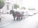 CIMG9555