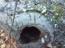 DSC01339