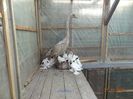 DSC07037