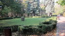 IN PARC