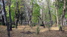 COPOUL PARC