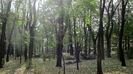 COPOUL PARC