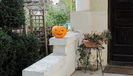 HALLOWEEN IESEAN