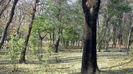 COPOUL, UN IMENS PARC