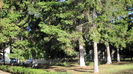 CURTEA INSTITUTULUI