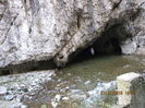 IMG_0123