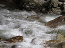 IMG_0193