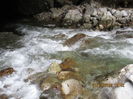 IMG_0195