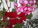 20151124_161354