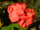 DSCN4314
