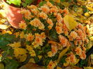 DSCN4315