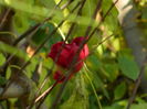 DSCN4327