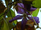 DSCN4348