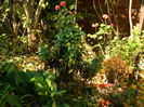 DSCN4359