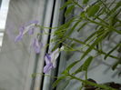 DSCN4371