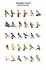 12243065_722857797847793_4870433632509483756_n