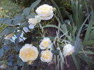 DSC00325
