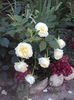 DSC00326