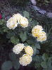 DSC00328