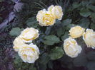 DSC00329