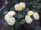 DSC00330