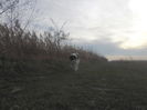 SAM_2733