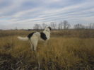 SAM_2635