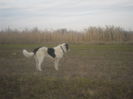 SAM_2640