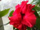 IMG_20151012_171344