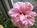 IMG_20151012_171306