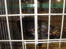 SDC14558
