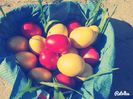IMG_20150411_170136